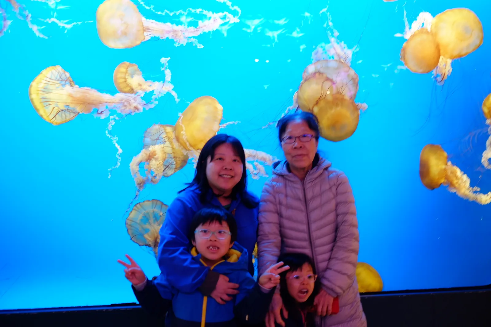 Family